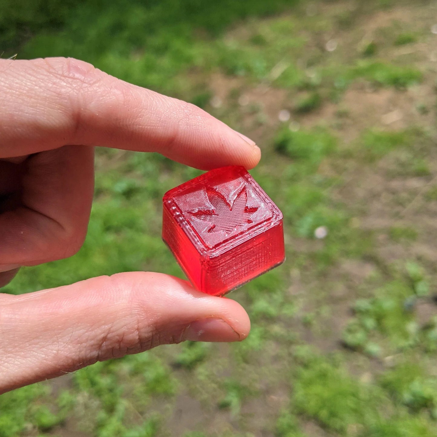 Customizable 1-Inch Gummy Mold